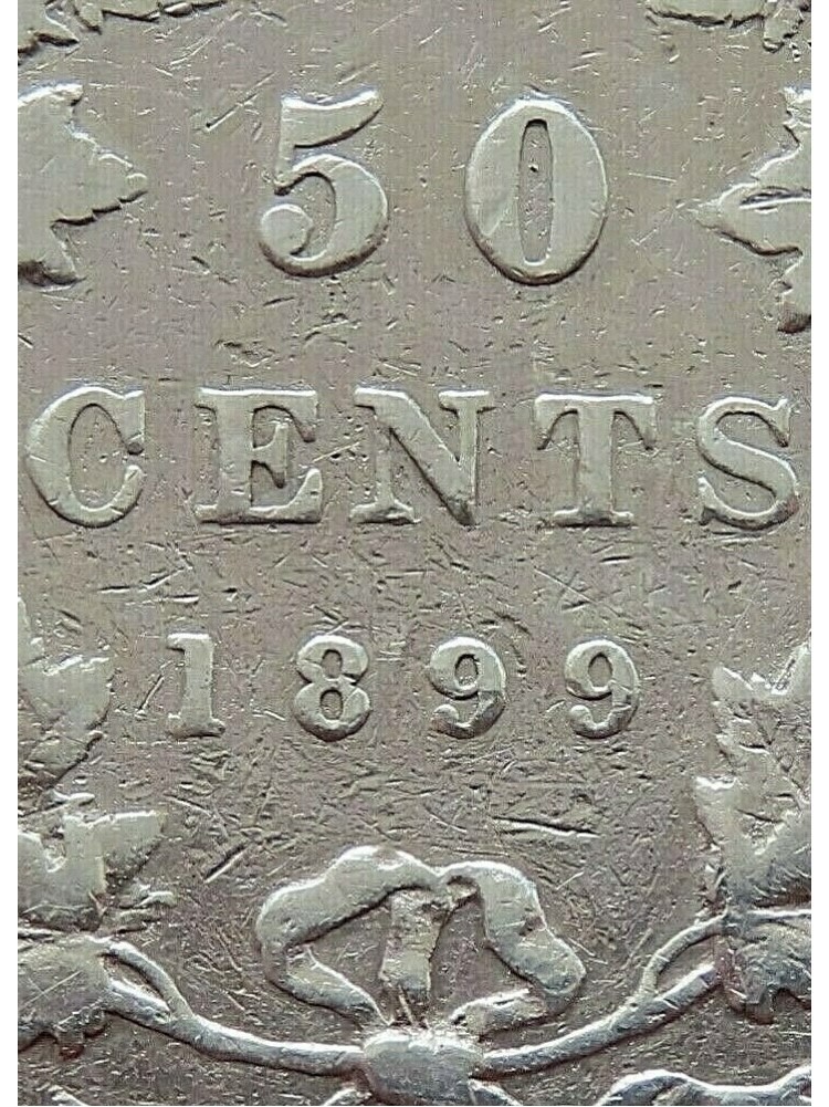 1899-Half-Dollar-Which-Variety-?-Small-Or-Large-9?
