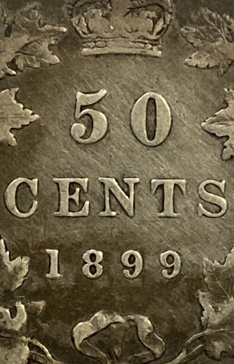 1899-Half-Dollar-Which-Variety-?-Small-Or-Large-9?