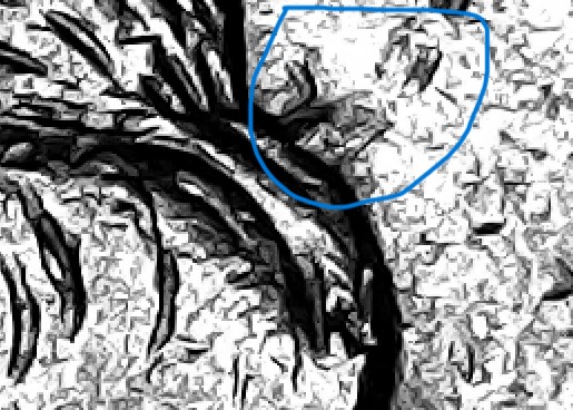Can-Anyone-Help-Me-Identify-This-1994-P-Quarter-Clash.im-Stumped