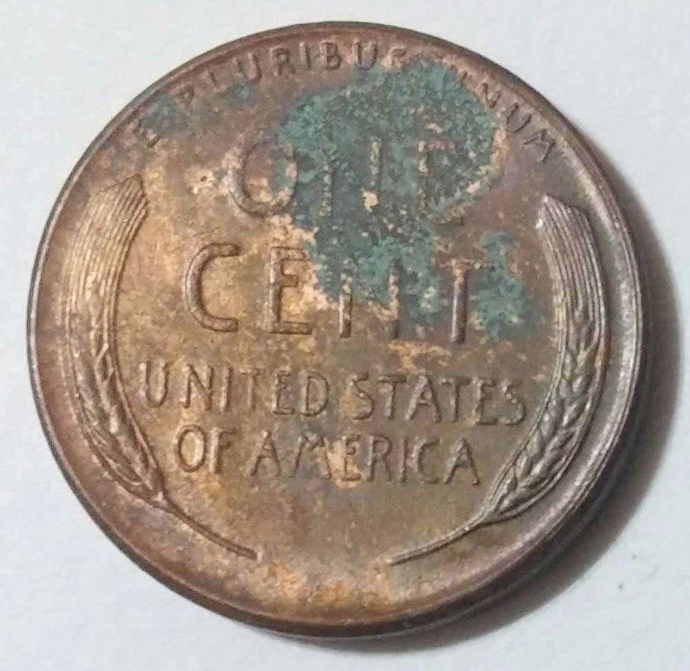 First-Go-At-Using-Verdi-Care