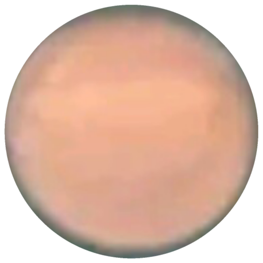 The-Daily-Cam-Vs-WAM-Thread