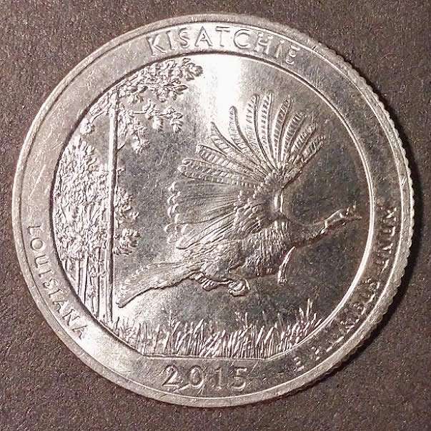 2015-D-Kisatchie-Quarter-Anomaly