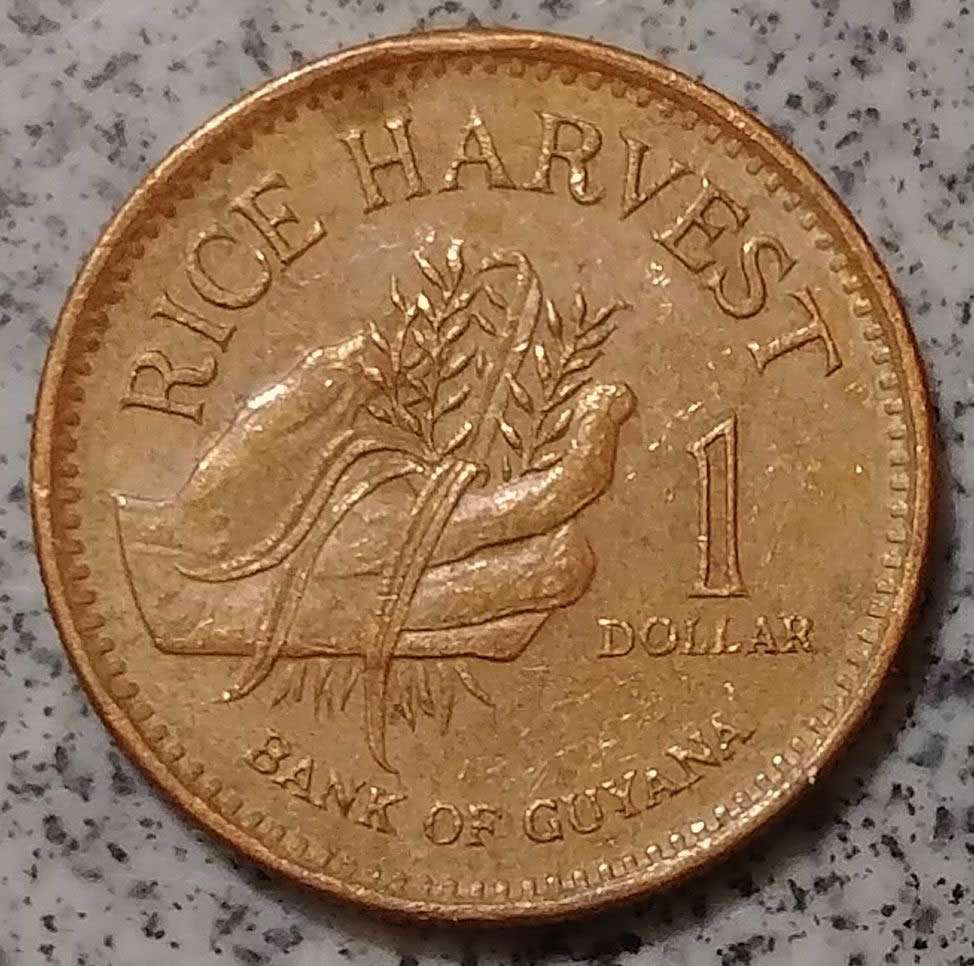 166-Days-Of-Yakko's-World-Coins
