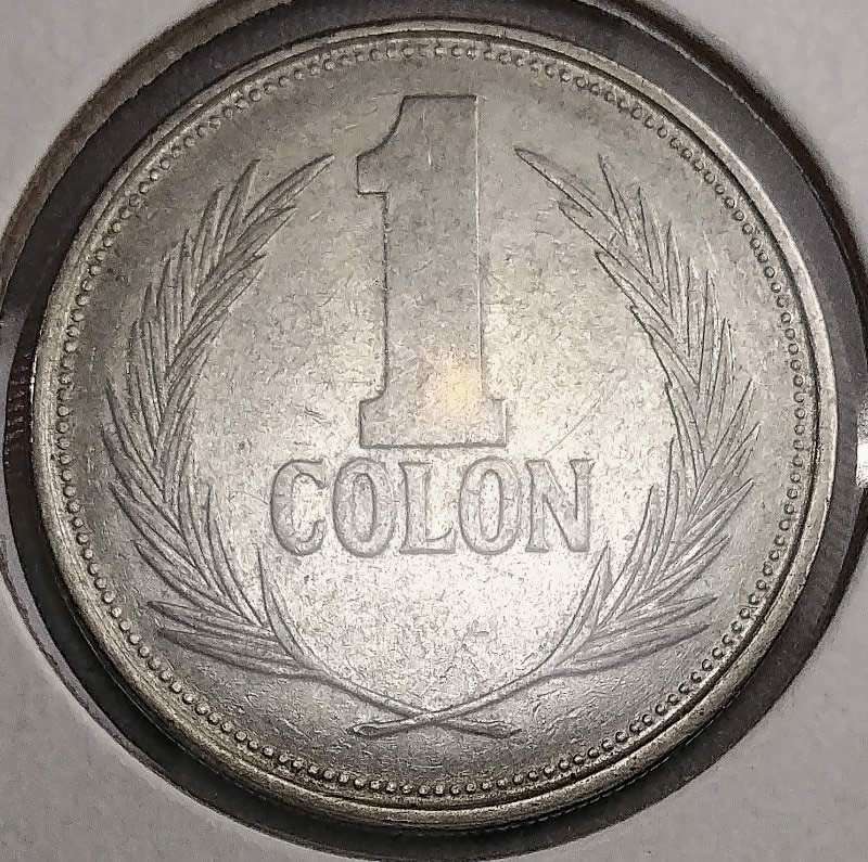 166-Days-Of-Yakko's-World-Coins