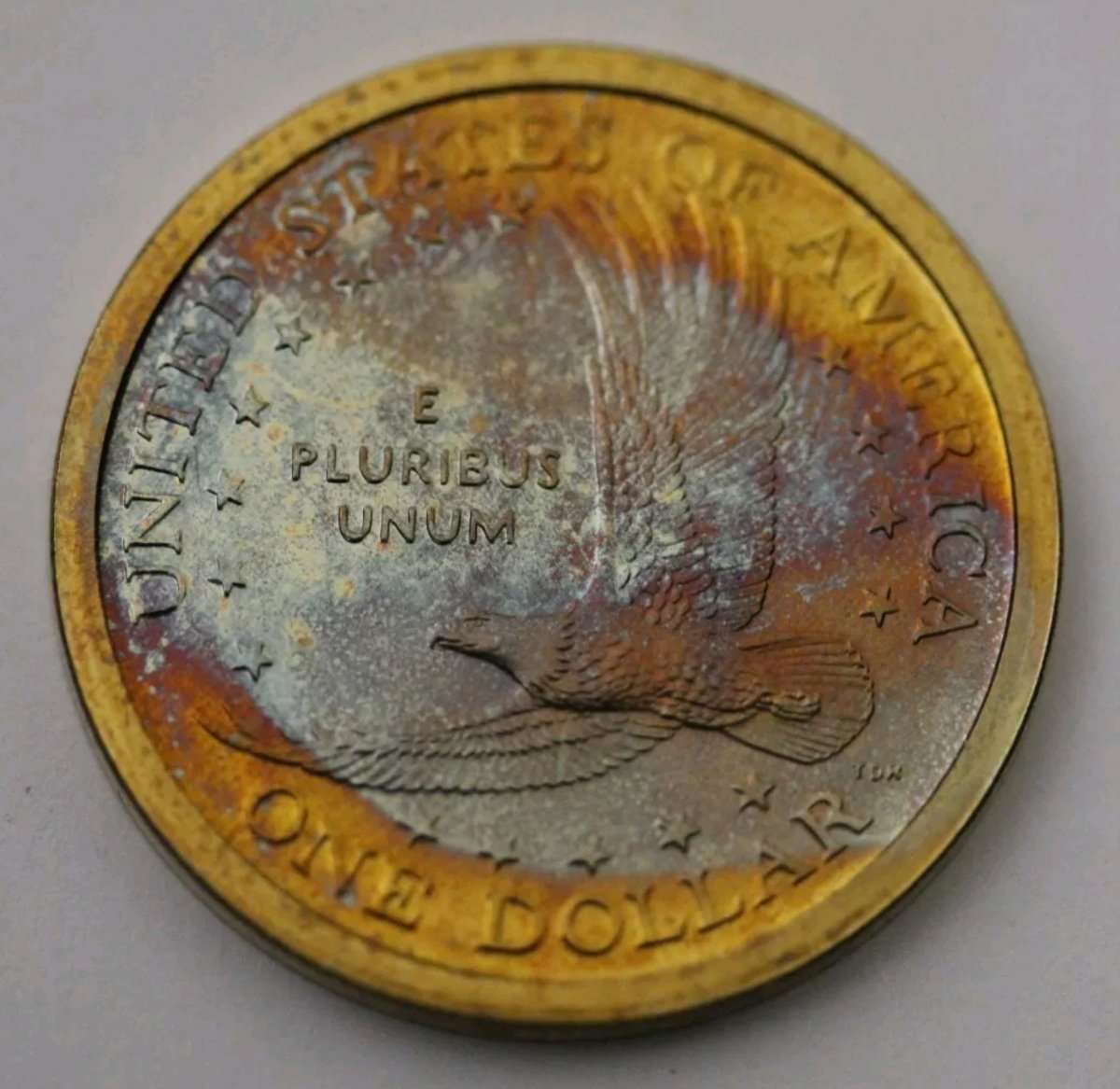 Florida-Toned---New-Ebay-Term-For-Damaged-Coins?