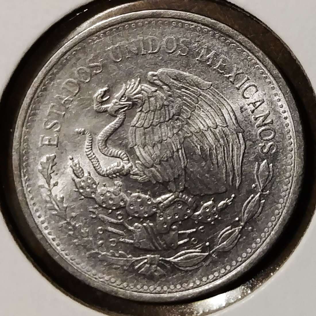 Yet-Another-Forum-Game---Numismatic-Go-Fish!