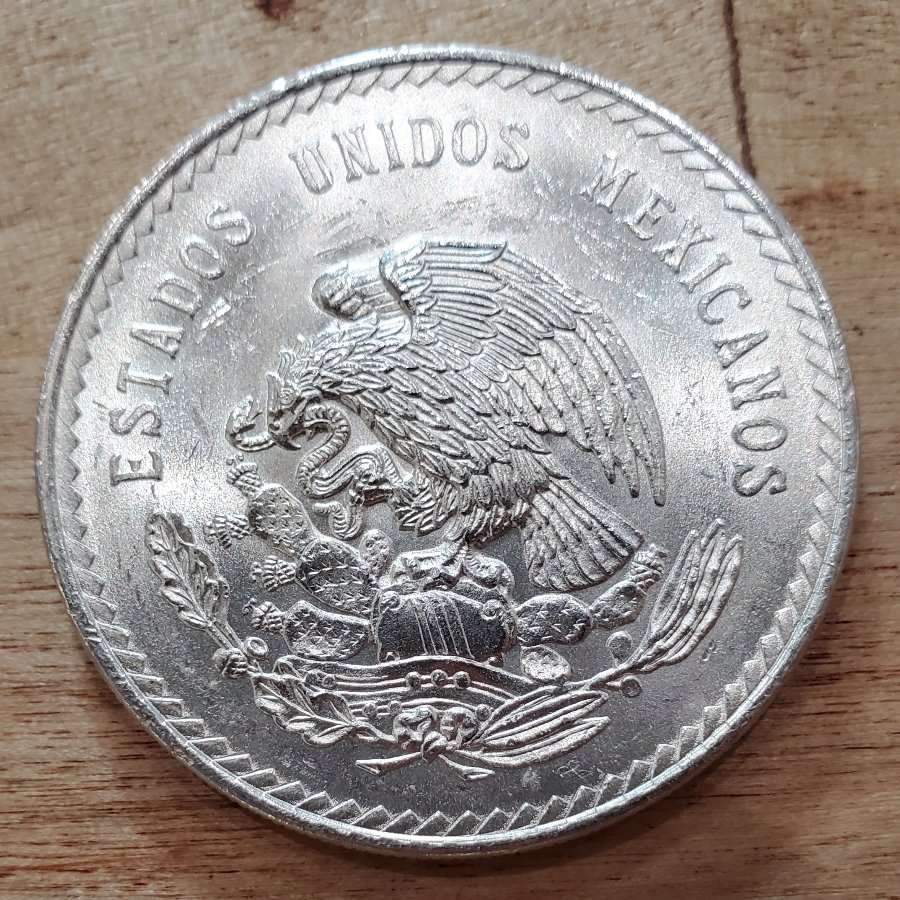 Continuing-List-To-Show-Everyones-Latest-Acquisitions