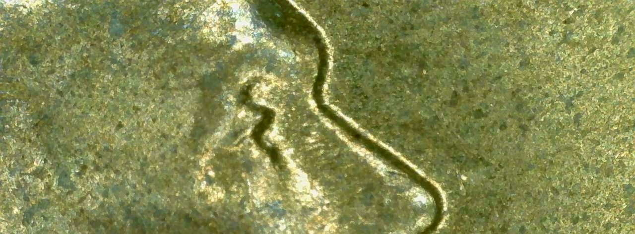 Does-This-1955-Penny-Have-Doubling-On-The-Obverse?