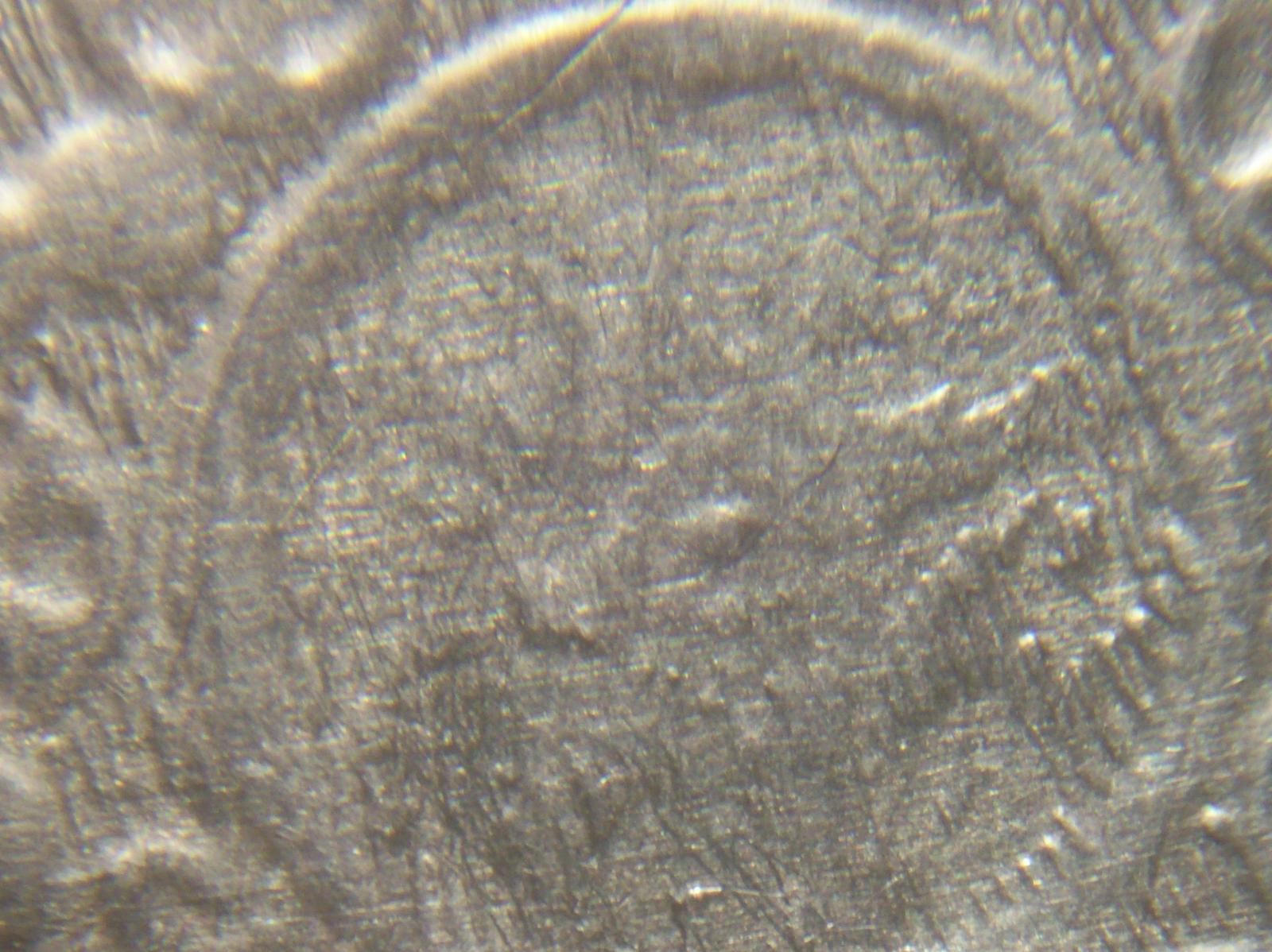 Post-Your-Counterfeit-Coins-Here-Educational-Thread