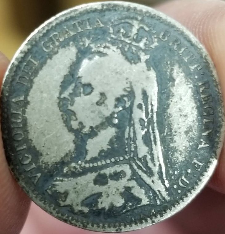1887-Six-Pence-Found-In-The-Wild-US