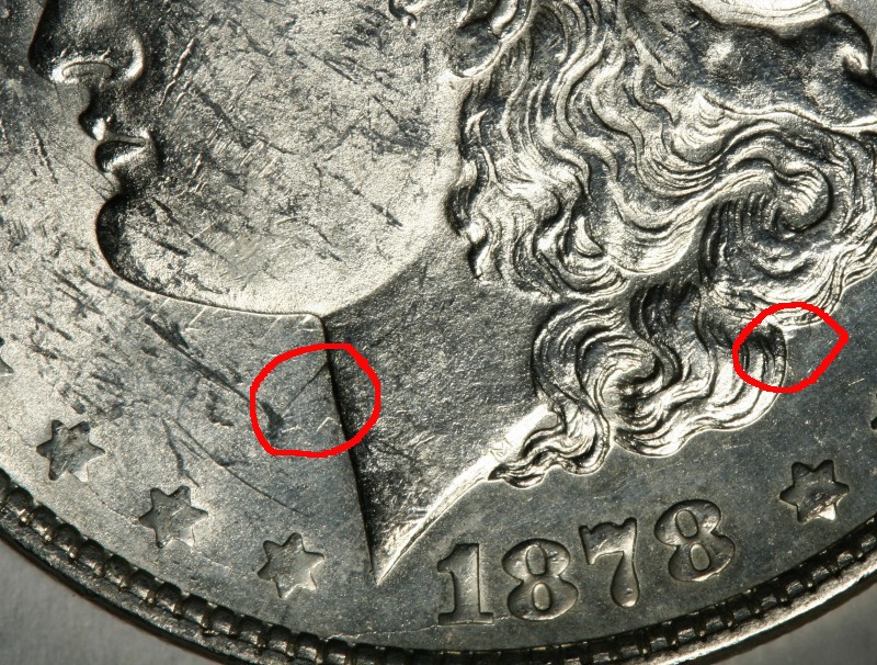 1878-Morgan-7-Over-8-Tail-Feathers