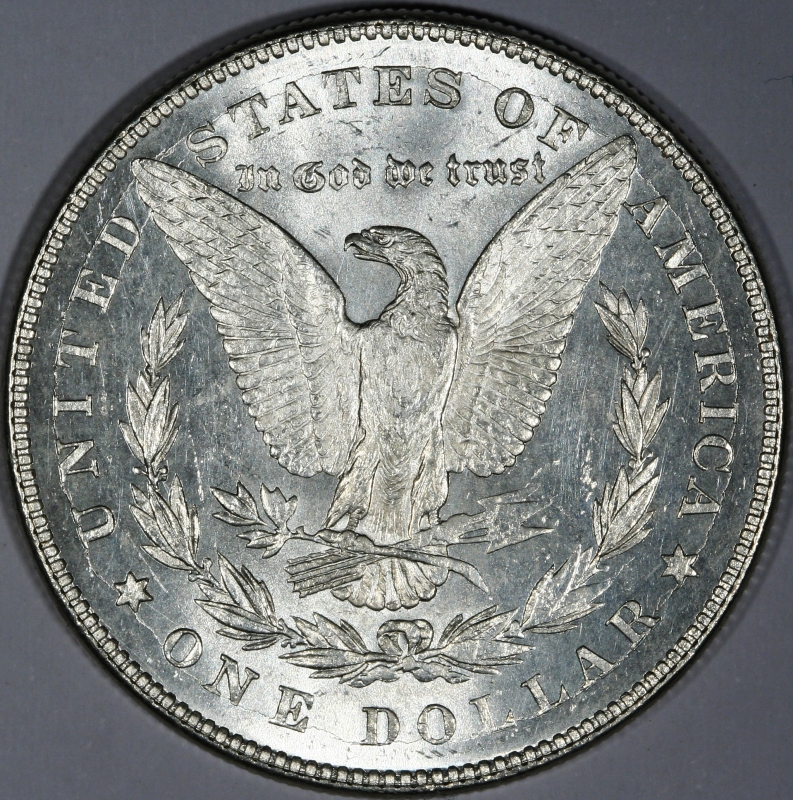 The-28-Days-Of-Morgan-Dollars!-Act-II