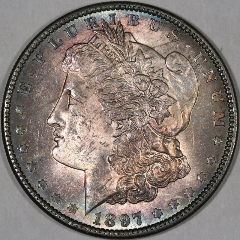 Is-This-A-VAM?-1897-P-Morgan-With-Pitting-On-Reverse
