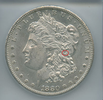 1880-CC-How-Many-Error-Can-You-See-X-Leave?