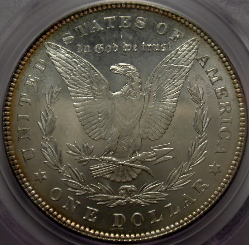 28-Days-Of-Morgans