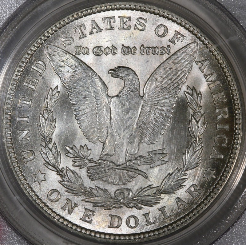 The-Ongoing-Fascination-With-Morgan-Varieties