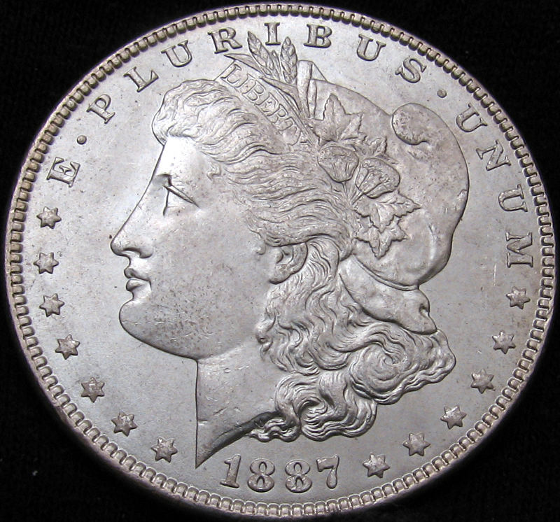 My-First-Morgan