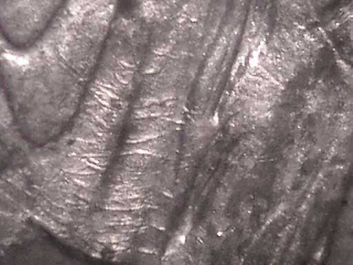 Help-Me-Attribute-Newdavid's-1878-S