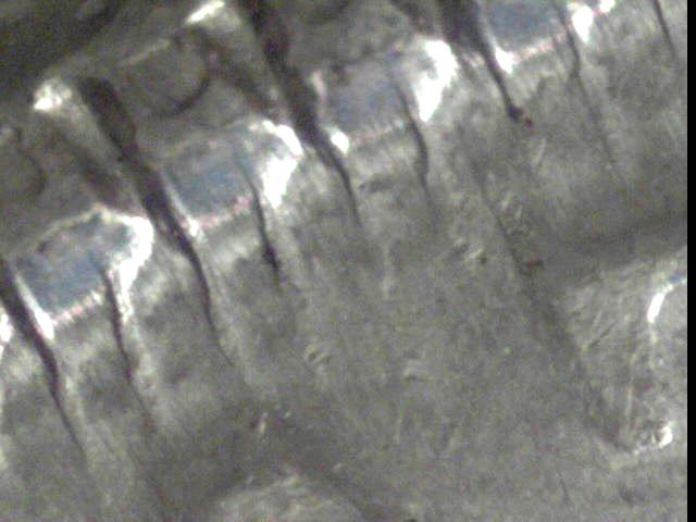 Morgans-With-Trail-Dies..let-Me-Know-If-You-Find-Any-New