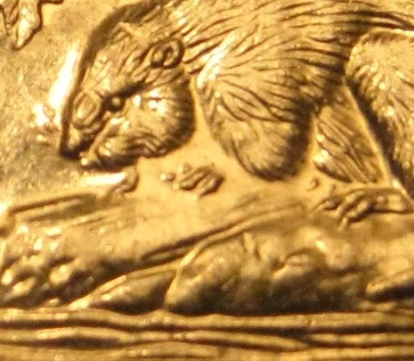 1994-5-Cents---Missing-Details-On-Reverse
