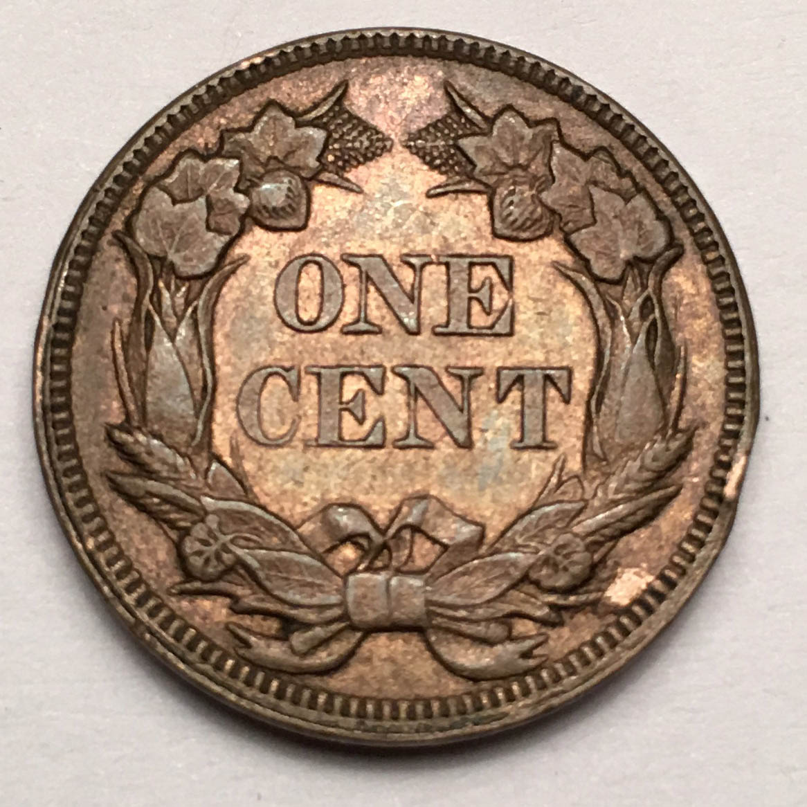 1858-LL-Flying-Eagle-Cent-Grade-And-Thoughts-New-Better-Pics