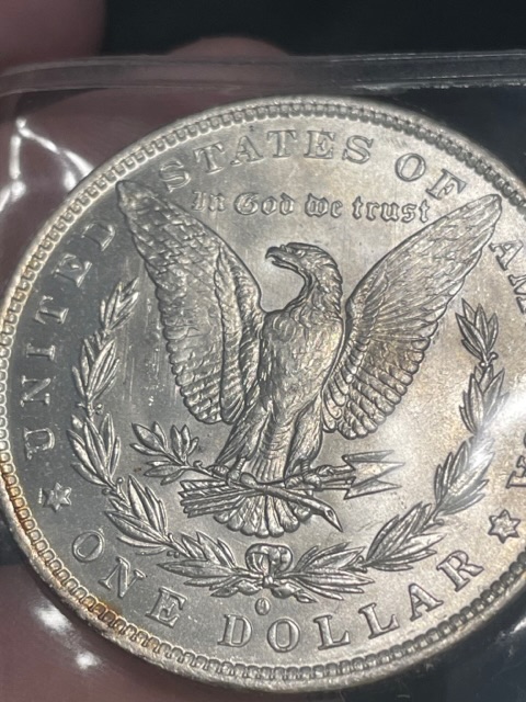 1883-O-Morgan-Dollar.