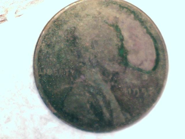 Lincoln-Wheaties-In-Olive-Oil-For-Over-6-Months
