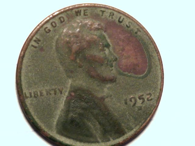 Lincoln-Wheaties-In-Olive-Oil-For-Over-6-Months