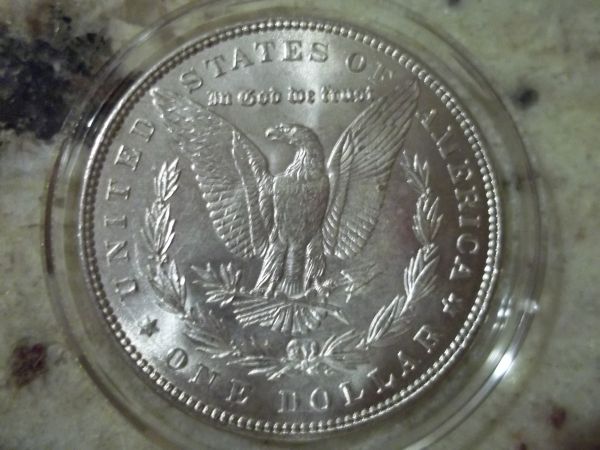 1884-O-X2-And-1887-Morgans