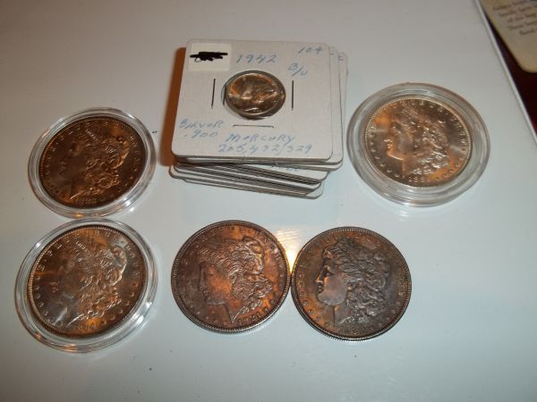 Continuing-List-To-Show-Everyones-Latest-Acquisitions