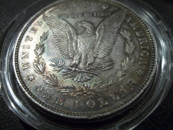 1882-Morgan-Toned