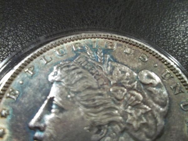 1882-Morgan-Toned