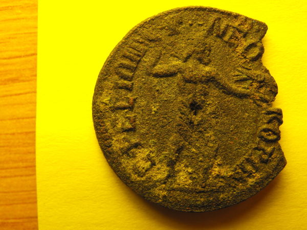 Please-Help-Identify