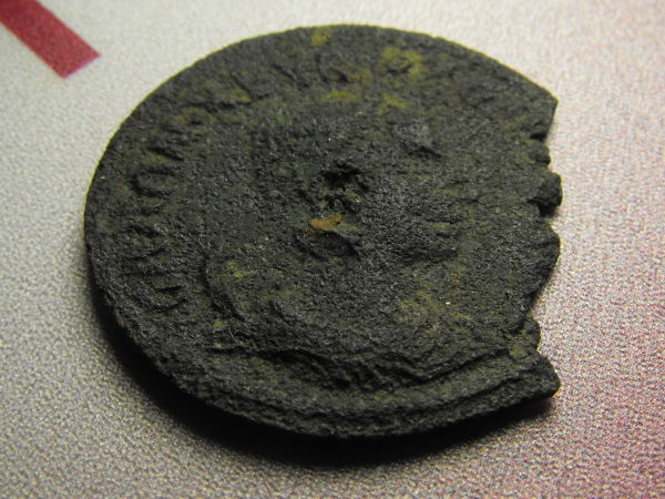 Please-Help-Identify