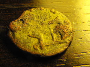 Help-With-Identification?