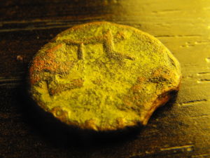 Help-With-Identification?