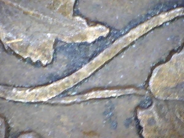 The-1859-Large-Cent-That-Keeps-On-Giving...