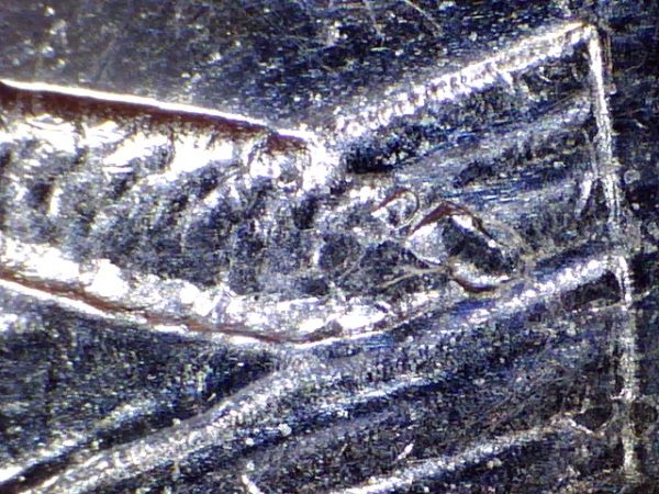2001-Nickel-Error-On-Bugtail-Variety