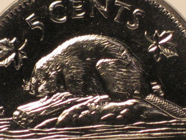 1965-Sb-Nickel-From-1965-Td-Roll---Pelt-Error?