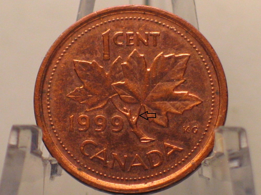 1999-Extra-Bud-Beside-Small-Bud---Penny