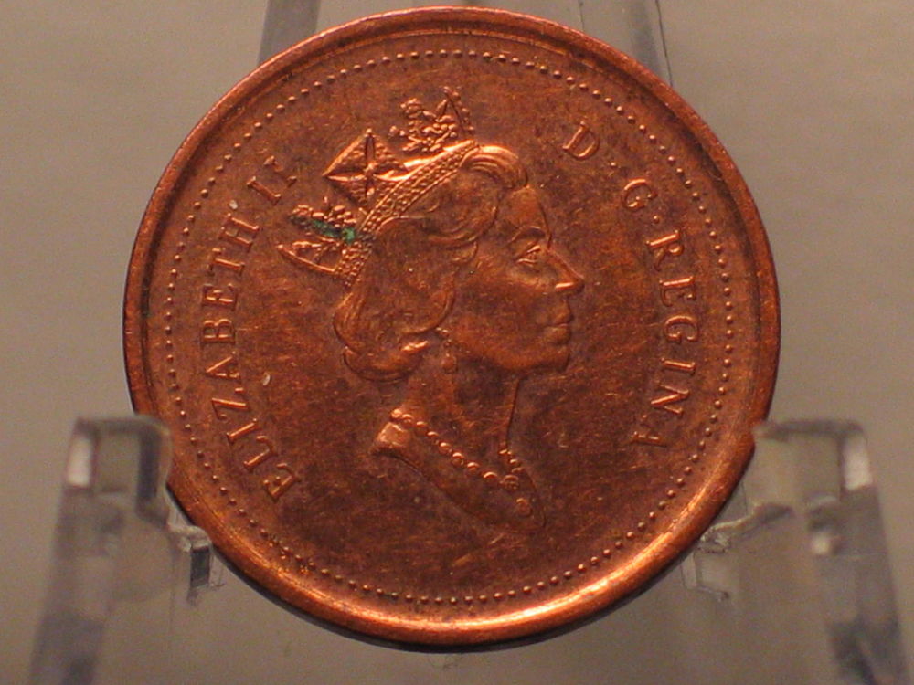 1999-Extra-Bud-Beside-Small-Bud---Penny