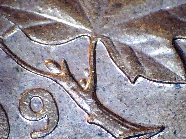 1999-Extra-Bud-Beside-Small-Bud---Penny