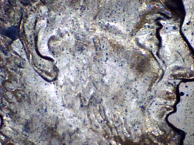 2005-D---Cent---Lincoln-Crying