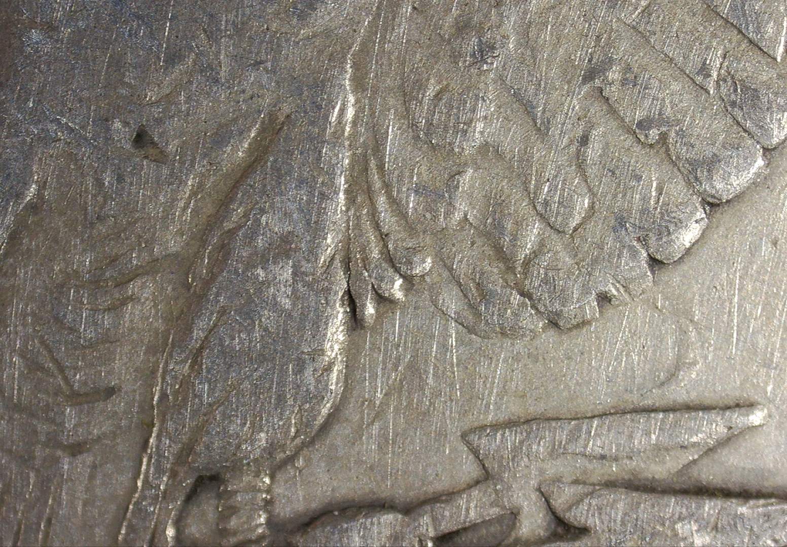 1878-P-8-Tail-Feather-Morgan-Help-Identify?