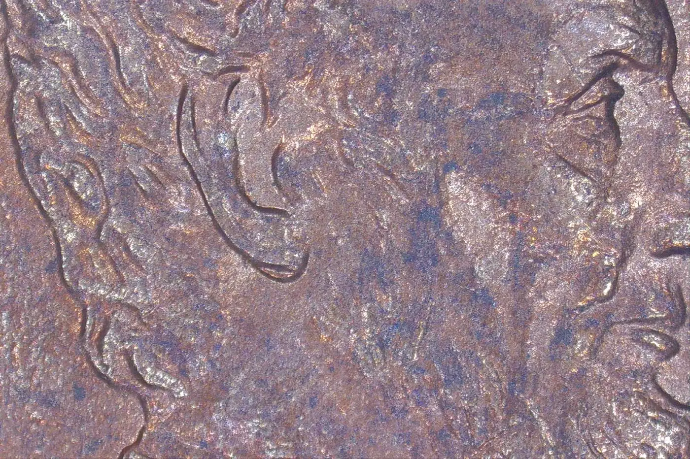 2000-P-Penny---Is-This-Doubled-Ear?-Is-It-A-WDDO-001?
