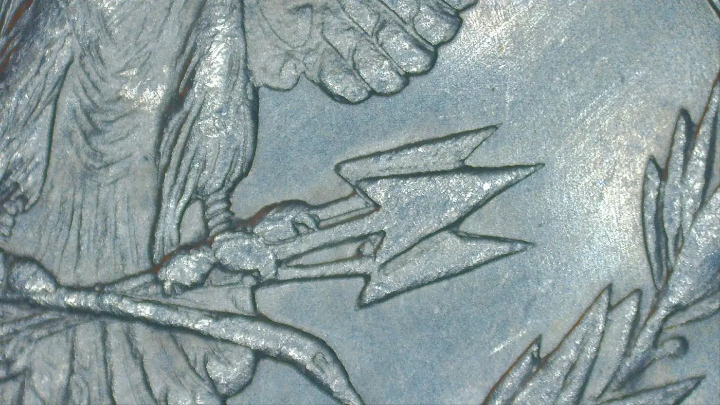 1878-S-Morgan-Possible-VAM-41