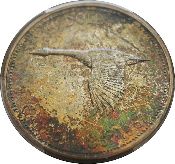 Toned-Goose