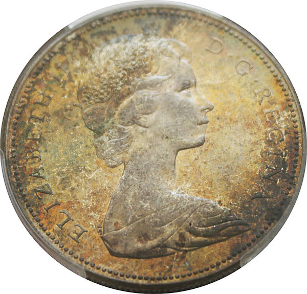 Toned-Goose