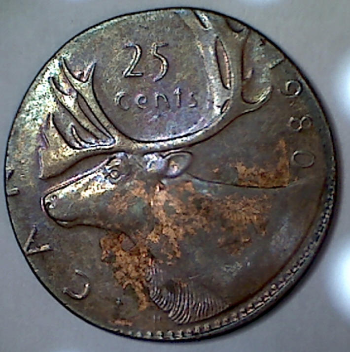 To-Err-Is-Sweet,-Where-Coins-Are-Involved.