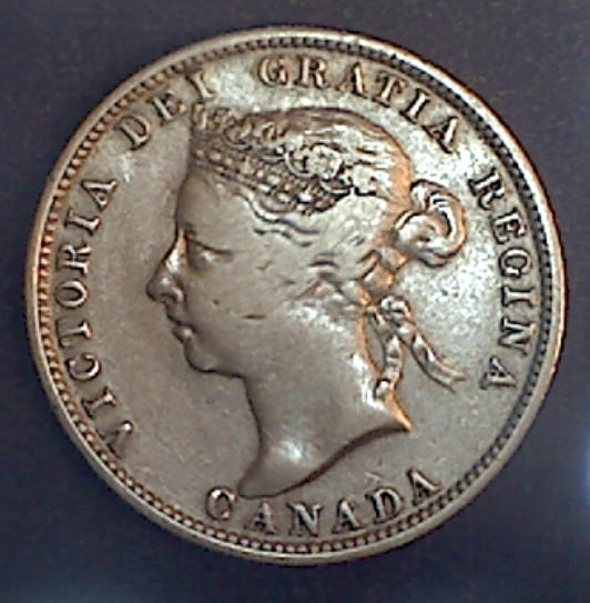 Your-12-Favorite-19th-Century-Coins!